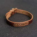 Personalized Leather Dog Collar
