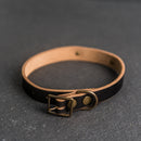 Personalized Leather Dog Collar