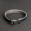 Personalized Leather Dog Collar