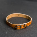 Personalized Leather Dog Collar